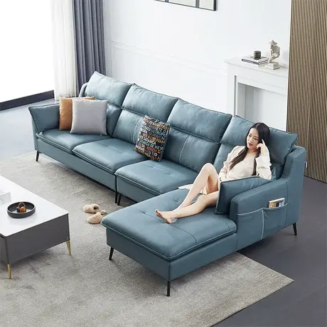 双虎科技布艺沙发客厅2023新款小户型现代简约轻奢家具组合23829图片