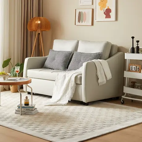 双虎 沙发床折叠两用小户型单人客厅家用伸缩多功能双人沙发23853商品大图