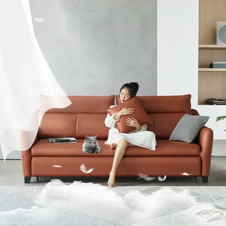 双虎 科技布沙发床折叠两用小户型客厅现代简约羽绒多功能沙发202图片
